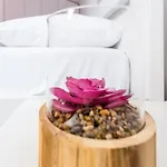 Cozy Nature House By Domljan Family